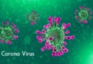 Coronavirus Related Questions and their Answers, Which you need to know